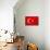 Turkey Flag Design with Wood Patterning - Flags of the World Series-Philippe Hugonnard-Mounted Art Print displayed on a wall