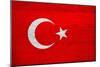 Turkey Flag Design with Wood Patterning - Flags of the World Series-Philippe Hugonnard-Mounted Art Print