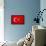 Turkey Flag Design with Wood Patterning - Flags of the World Series-Philippe Hugonnard-Framed Stretched Canvas displayed on a wall