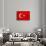 Turkey Flag Design with Wood Patterning - Flags of the World Series-Philippe Hugonnard-Art Print displayed on a wall