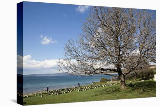 Turkey, Gallipoli, Ari Burun, CWGC Cemetery-Samuel Magal-Stretched Canvas