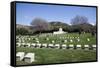 Turkey, Gallipoli, Ari Burun, CWGC Cemetery-Samuel Magal-Framed Stretched Canvas