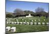 Turkey, Gallipoli, Ari Burun, CWGC Cemetery-Samuel Magal-Mounted Photographic Print