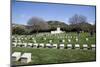 Turkey, Gallipoli, Ari Burun, CWGC Cemetery-Samuel Magal-Mounted Photographic Print