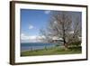 Turkey, Gallipoli, Ari Burun, CWGC Cemetery-Samuel Magal-Framed Photographic Print