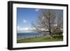 Turkey, Gallipoli, Ari Burun, CWGC Cemetery-Samuel Magal-Framed Photographic Print