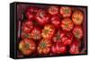 Turkey, Gaziantep, Informally Called Antep, Fresh Vegetables and Fruits are Plentiful. Tomatoes-Emily Wilson-Framed Stretched Canvas