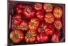 Turkey, Gaziantep, Informally Called Antep, Fresh Vegetables and Fruits are Plentiful. Tomatoes-Emily Wilson-Mounted Photographic Print