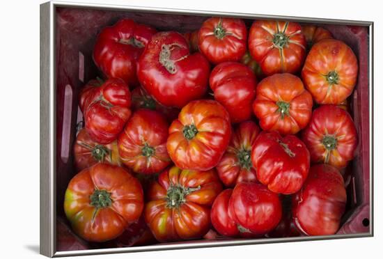 Turkey, Gaziantep, Informally Called Antep, Fresh Vegetables and Fruits are Plentiful. Tomatoes-Emily Wilson-Framed Photographic Print