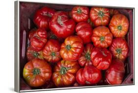 Turkey, Gaziantep, Informally Called Antep, Fresh Vegetables and Fruits are Plentiful. Tomatoes-Emily Wilson-Framed Photographic Print