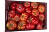 Turkey, Gaziantep, Informally Called Antep, Fresh Vegetables and Fruits are Plentiful. Tomatoes-Emily Wilson-Mounted Photographic Print