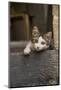 Turkey, Gaziantep, Kitten Peeking Out from Doorway-Emily Wilson-Mounted Photographic Print