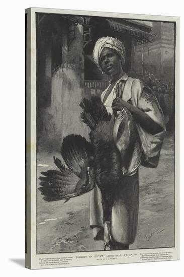 Turkey in Egypt, Christmas at Cairo-George L. Seymour-Stretched Canvas