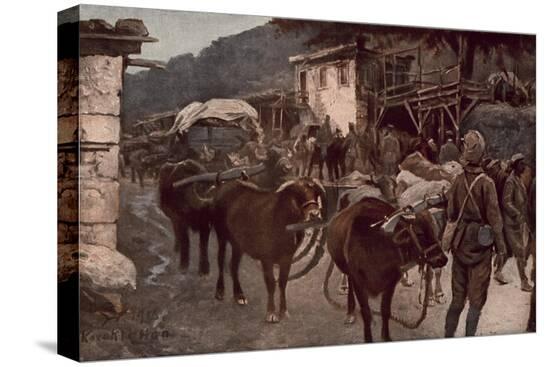 Stretched Canvas Print, , large