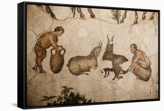 Turkey, Istanbul, Great Palace Mosaic Museum, Roman Mosaic, Shepherd Milking A Goat-Samuel Magal-Framed Stretched Canvas