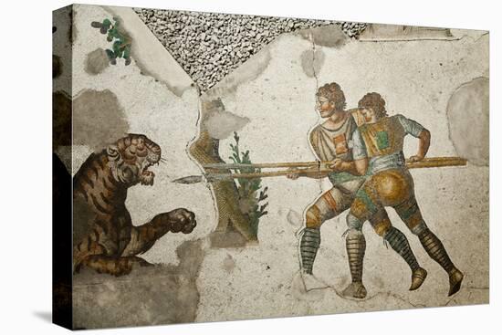 Turkey, Istanbul, Great Palace Mosaic Museum, Roman Mosaic, Tiger Hunt-Samuel Magal-Stretched Canvas