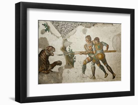 Turkey, Istanbul, Great Palace Mosaic Museum, Roman Mosaic, Tiger Hunt-Samuel Magal-Framed Premium Photographic Print