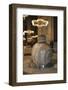 Turkey, Istanbul, Hagia Sophia,  Lustration Urn-Samuel Magal-Framed Photographic Print