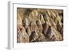 Turkey, Istanbul, Kemerburgaz, View of Rock Formation in Goreme-Ali Kabas-Framed Photographic Print