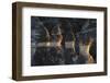 Turkey, Istanbul, Kemerburgaz, View of Rock Formation in Goreme-Ali Kabas-Framed Photographic Print