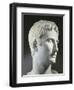 Turkey, Istanbul, Roman Art Head of Emperor Augustus-null-Framed Giclee Print