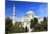 Turkey, Istanbul. Suleymaniye Mosque complex.-Emily Wilson-Mounted Photographic Print