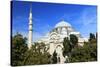 Turkey, Istanbul. Suleymaniye Mosque complex.-Emily Wilson-Stretched Canvas