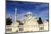 Turkey, Istanbul. Suleymaniye Mosque complex.-Emily Wilson-Mounted Photographic Print