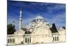 Turkey, Istanbul. Suleymaniye Mosque complex.-Emily Wilson-Mounted Premium Photographic Print