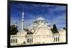 Turkey, Istanbul. Suleymaniye Mosque complex.-Emily Wilson-Framed Premium Photographic Print