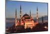 Turkey, Istanbul. Sultan Ahmet Mosque, Rooftop view.-Emily Wilson-Mounted Photographic Print