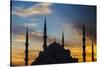 Turkey, Istanbul, Sultanahmet, Blue Mosque - Sultan Ahmed Mosque-Jane Sweeney-Stretched Canvas