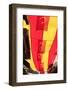 turkey, Istanbul, Sultanahmet district, Turkish flags-Emily Wilson-Framed Photographic Print