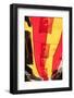 turkey, Istanbul, Sultanahmet district, Turkish flags-Emily Wilson-Framed Photographic Print