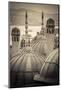 Turkey, Istanbul, Sultanahmet, Domes-Alan Copson-Mounted Photographic Print