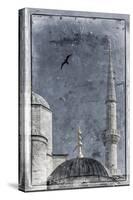 Turkey, Istanbul, Sultanahmet, the Blue Mosque (Sultan Ahmed Mosque or Sultan Ahmet Camii)-Alan Copson-Stretched Canvas