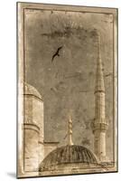 Turkey, Istanbul, Sultanahmet, the Blue Mosque (Sultan Ahmed Mosque or Sultan Ahmet Camii)-Alan Copson-Mounted Photographic Print