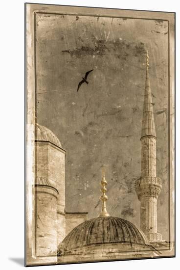 Turkey, Istanbul, Sultanahmet, the Blue Mosque (Sultan Ahmed Mosque or Sultan Ahmet Camii)-Alan Copson-Mounted Photographic Print