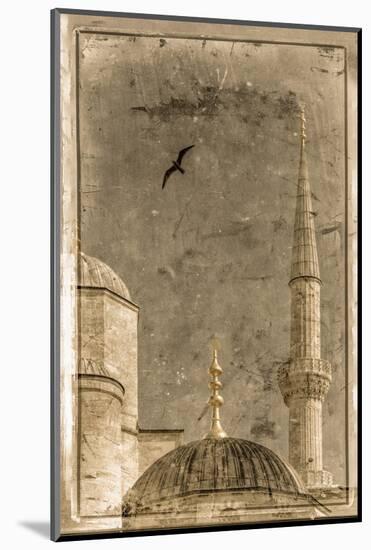 Turkey, Istanbul, Sultanahmet, the Blue Mosque (Sultan Ahmed Mosque or Sultan Ahmet Camii)-Alan Copson-Mounted Photographic Print