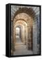 Turkey, Izmir, Bergama, Pergamon. Arches of the sanctuary of Trajan.-Emily Wilson-Framed Stretched Canvas