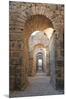 Turkey, Izmir, Bergama, Pergamon. Arches of the sanctuary of Trajan.-Emily Wilson-Mounted Premium Photographic Print