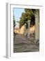 Turkey, Izmir, Selcuk, ancient city Ephesus. Columned Harbor Street.-Emily Wilson-Framed Photographic Print