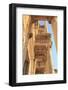 Turkey, Izmir, Selcuk, ancient city Ephesus. Library of Celsus.-Emily Wilson-Framed Photographic Print