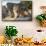 Turkey, Izmir, Selcuk, Cat in the ruins of Ephesus-Emily Wilson-Mounted Premium Photographic Print displayed on a wall