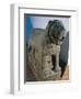 Turkey, Marash, Sculpture Representing a Lion Used to Decorate the Entrance of a Palace-null-Framed Giclee Print