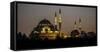 Turkey Mosque at Night-Art Wolfe-Framed Stretched Canvas