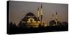 Turkey Mosque at Night-Art Wolfe-Stretched Canvas