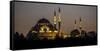 Turkey Mosque at Night-Art Wolfe-Framed Stretched Canvas