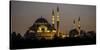 Turkey Mosque at Night-Art Wolfe-Stretched Canvas