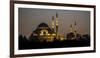 Turkey Mosque at Night-Art Wolfe-Framed Photographic Print